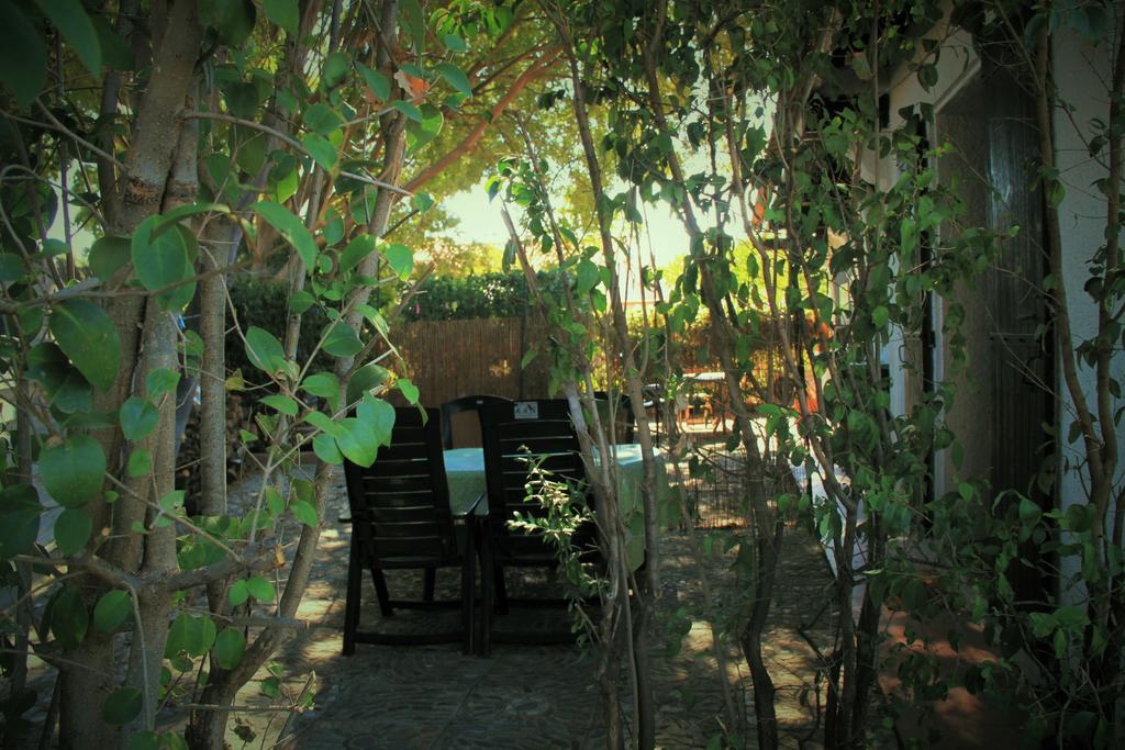 Lavender Apartment Argeles-sur-Mer Ngoại thất bức ảnh